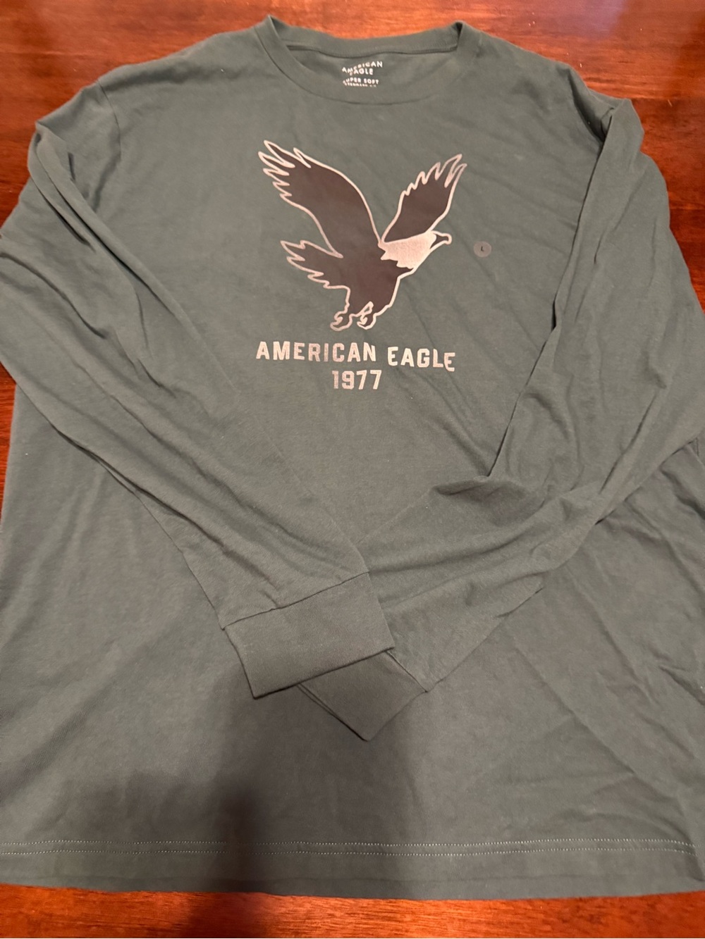 American Eagle Outfitters Long Sleeve Eagle Graphic Tee - Forest Green